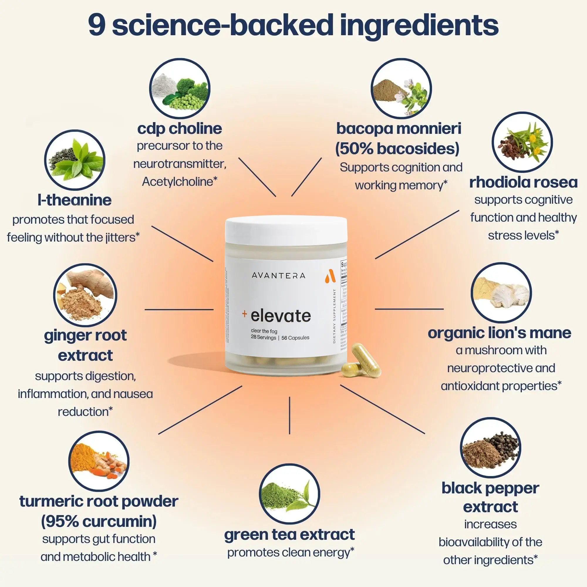 elevate premium nootropic - Image 4